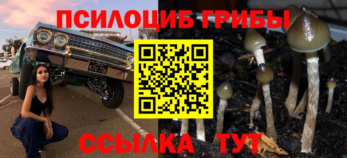 Канабис  Вход с VPN  Дятьково  МДМА  Меф МЯУ МЯУ   Cocaine  Мефедрон  Альфа ПВП СК кристаллы 